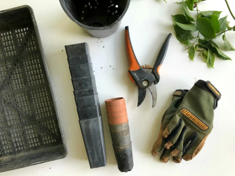 How to Choose the Right Gardening Tools for Your Yard