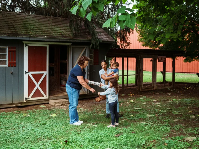 How to Start Homesteading When You're a Complete Beginner