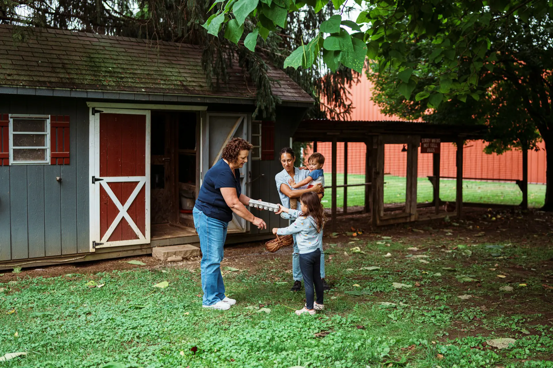 How to Start Homesteading When You're a Complete Beginner
