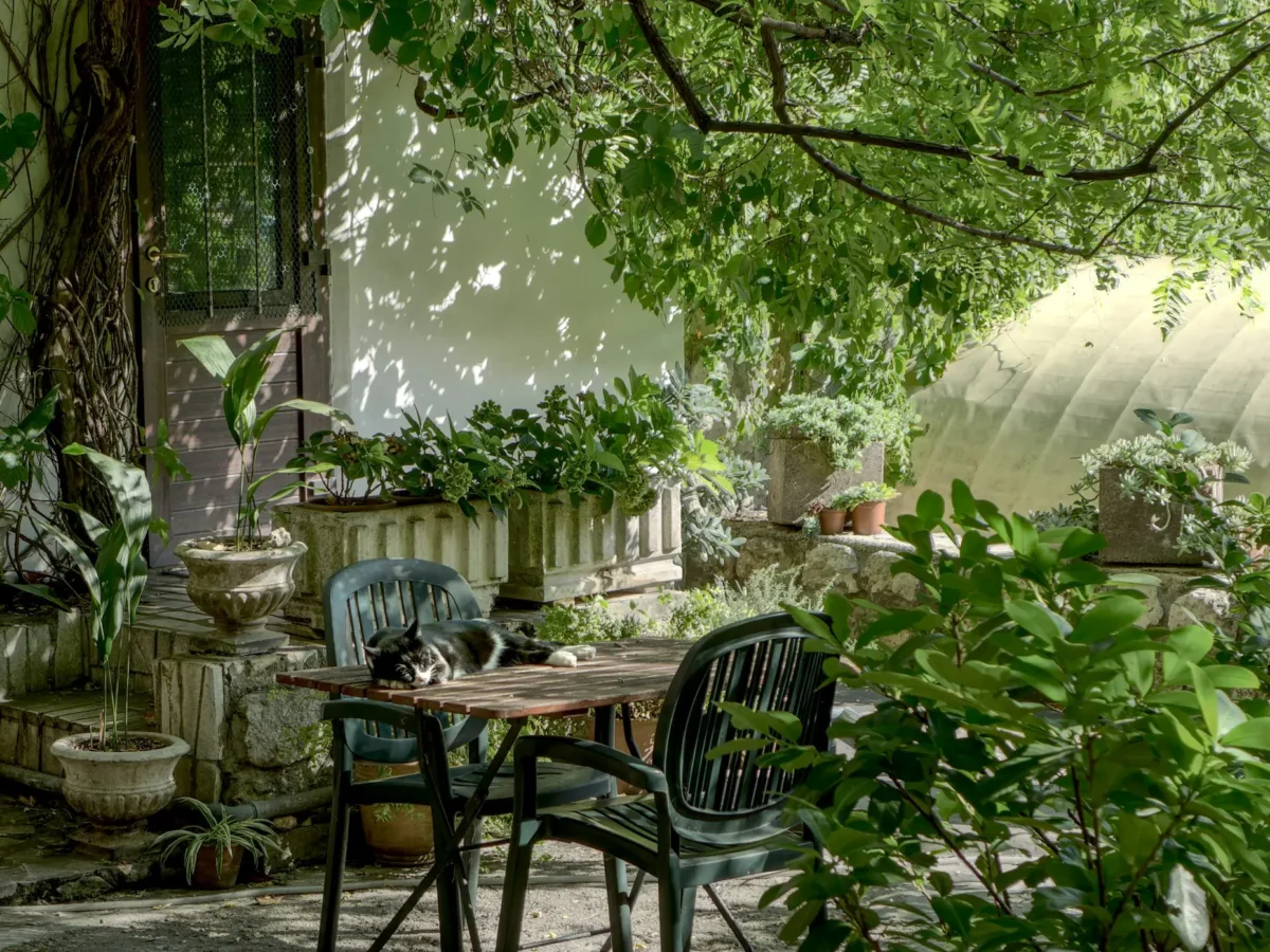 How to Start a Garden at Home for the First Time