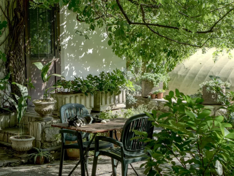 How to Start a Garden at Home for the First Time